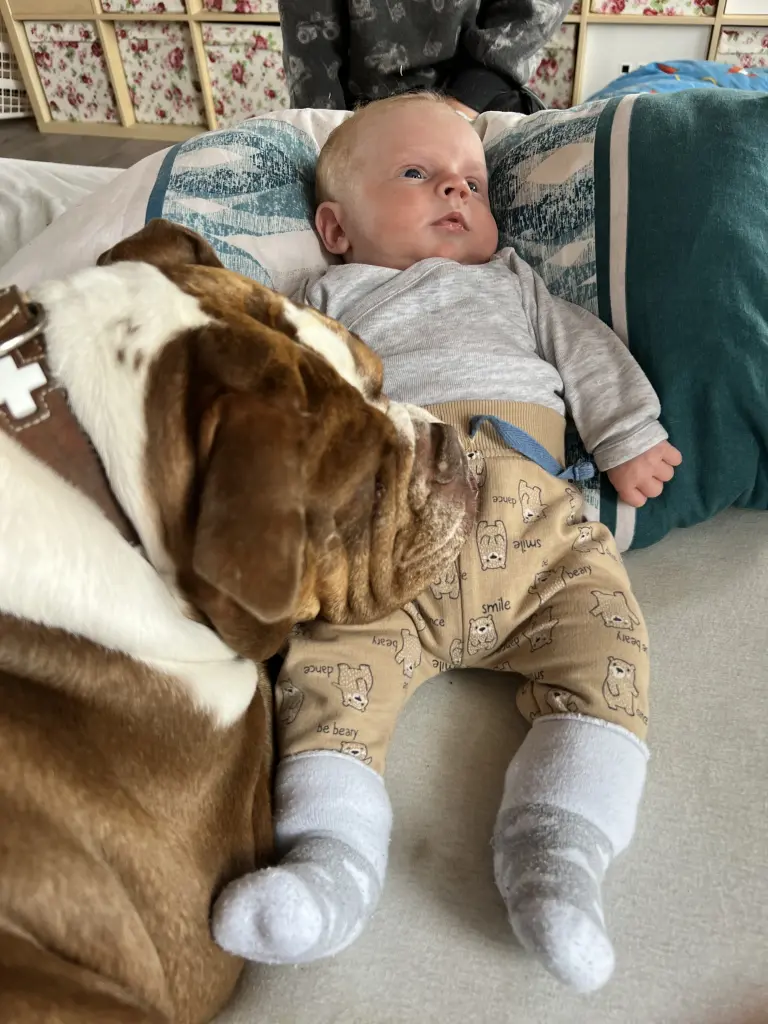 Josy und Felix