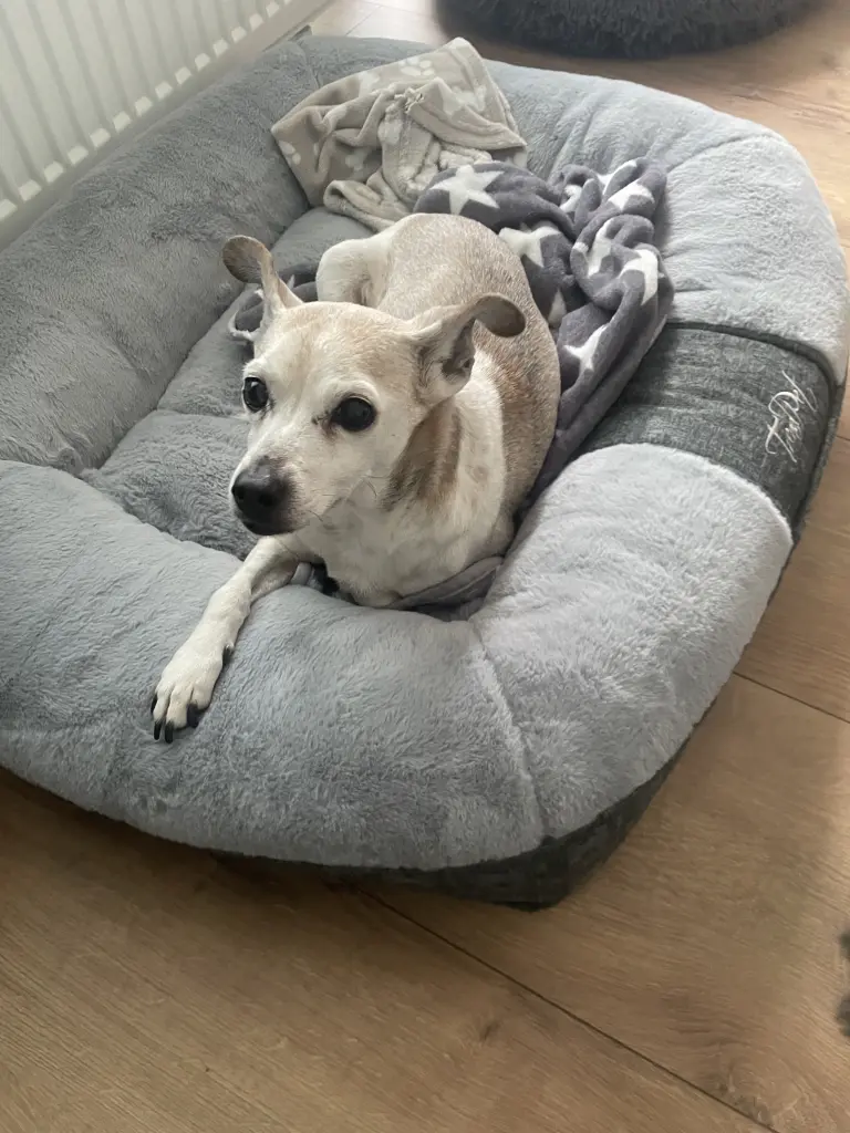 Andachtsbild von Gabriele Hartwig