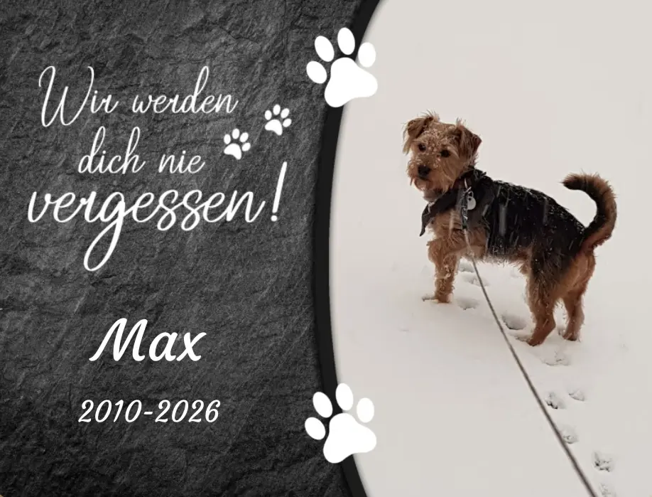 Bild von Max