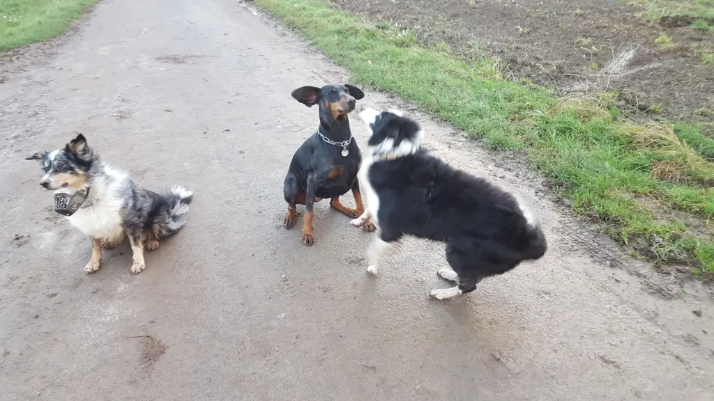 Andachtsbild von Stefanie Jeschke