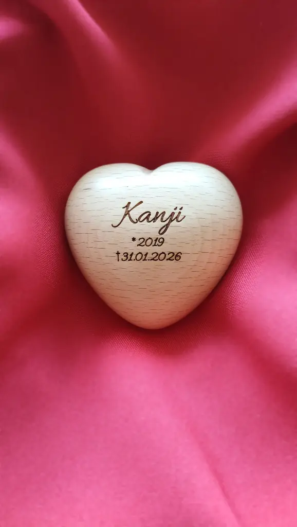 Image from Kanji