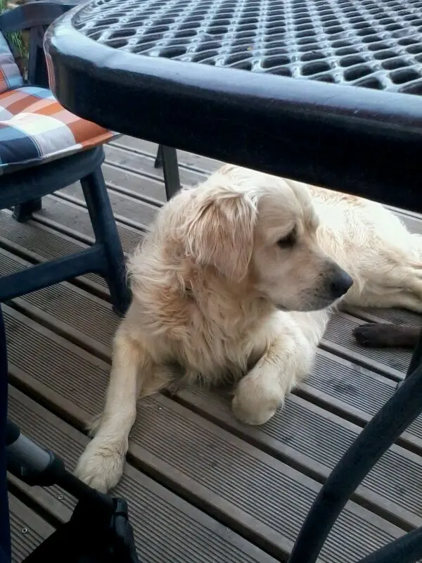 Andachtsbild von Andy und Piet ❤️