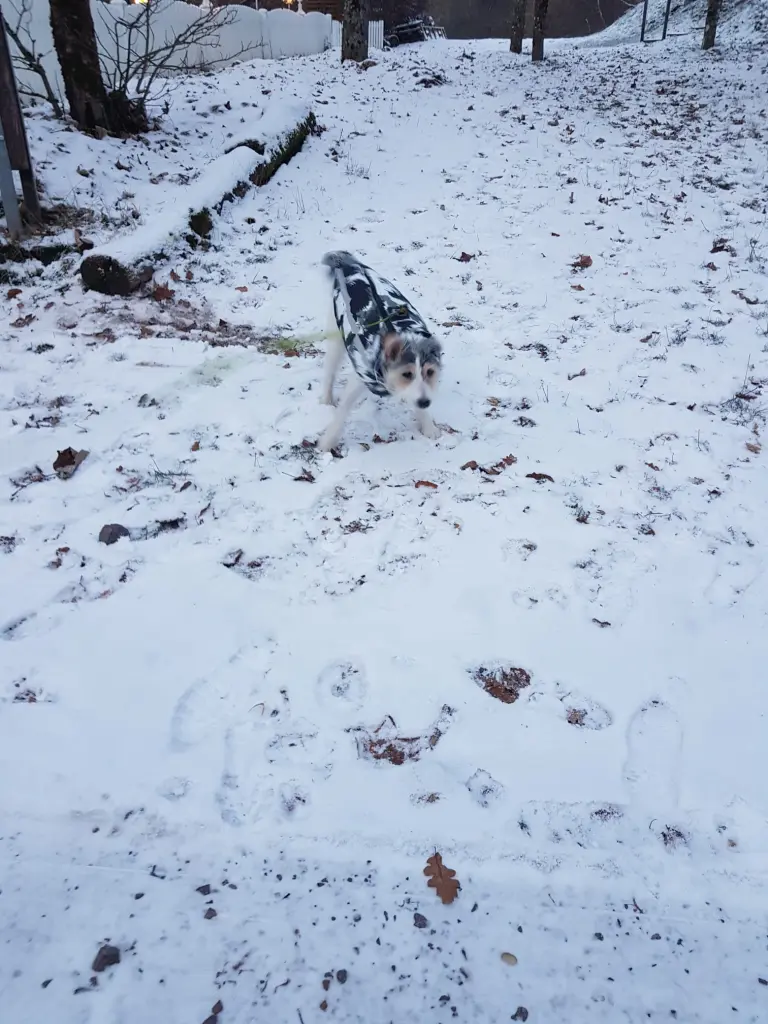 Schnee war auch toll.👍