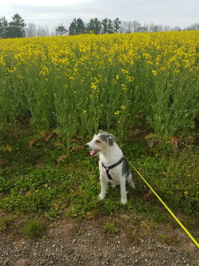 Das war ein toller Ausflug. 🤗