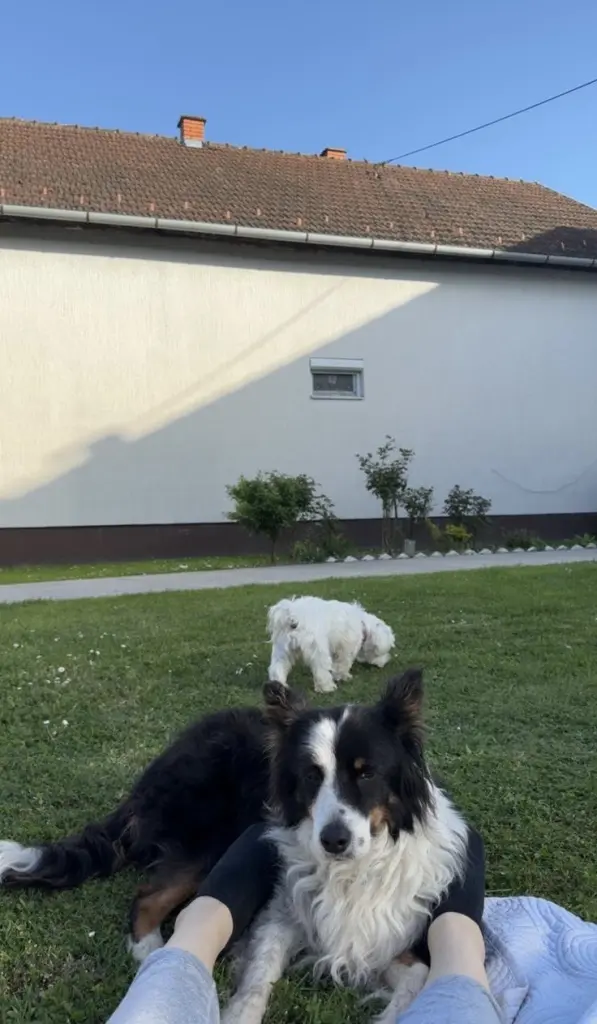 Bild von Mala
