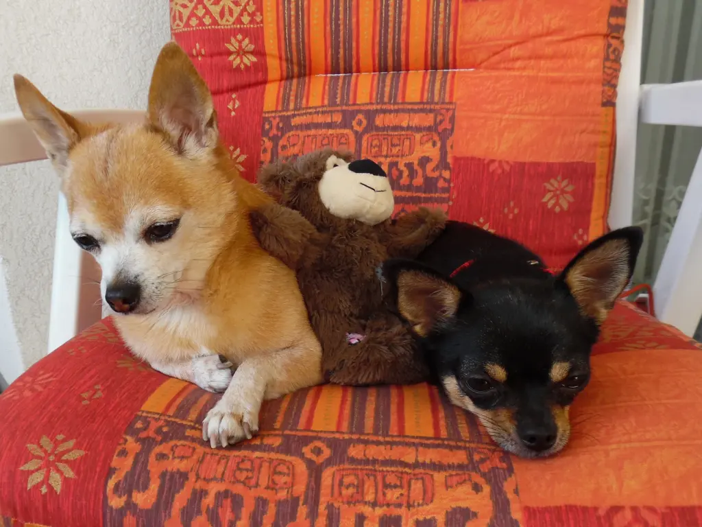 Andachtsbild von Irene und Jule