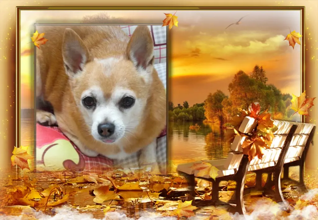 Andachtsbild von ❤Fur Liebe Jimmy❤