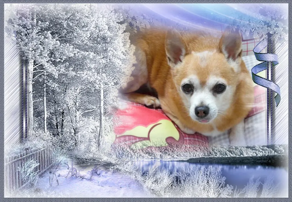 Andachtsbild von Fur Liebe Jimmy❤