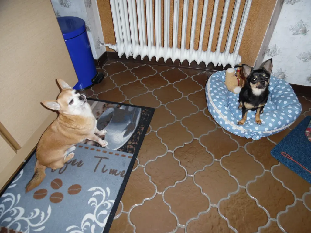 Andachtsbild von IRENE & JULE