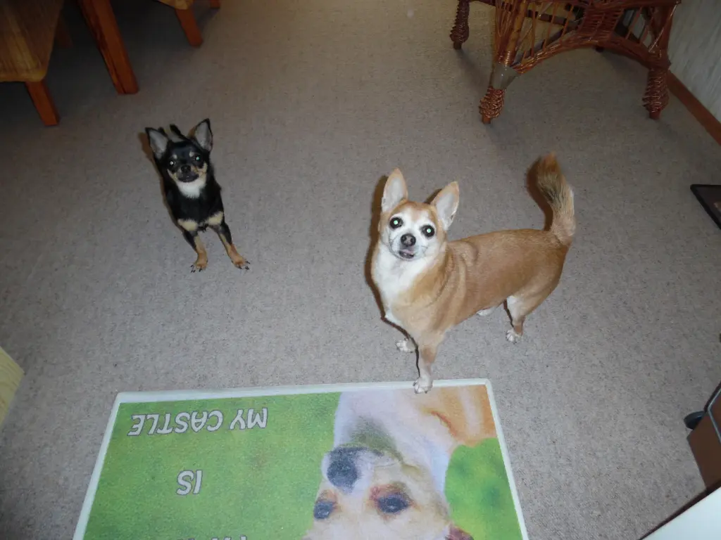 Andachtsbild von Irene für meinen unvergessenen Herz-König  !!!!!!!! 10 Monate ohne Dich !!!!!!!!