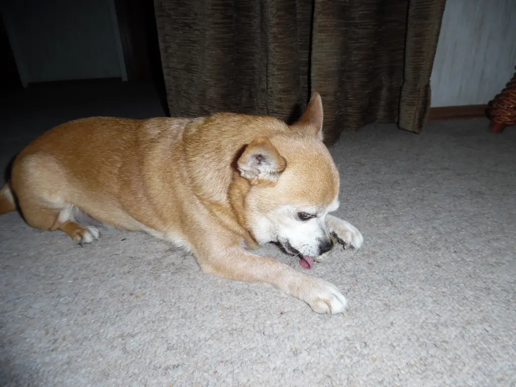 Andachtsbild von 44 Wochen ohne Dich.......