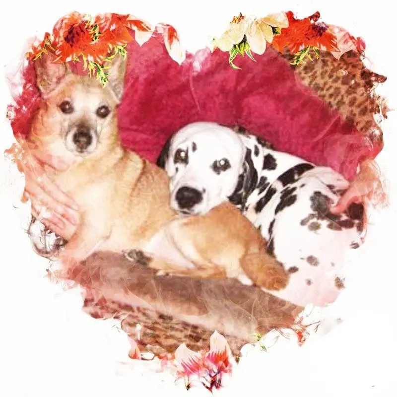 Andachtsbild von Michaela mit Nicko und Ariane ganz tief im ❤