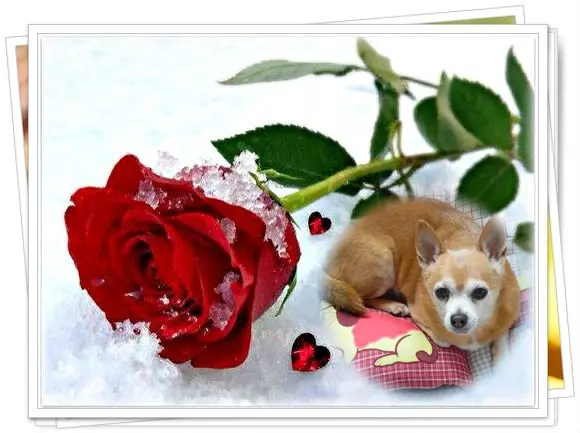 Andachtsbild von Liebe Jimmy❤️