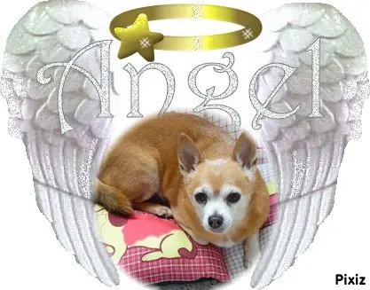 Andachtsbild von Liebe Jimmy❤️