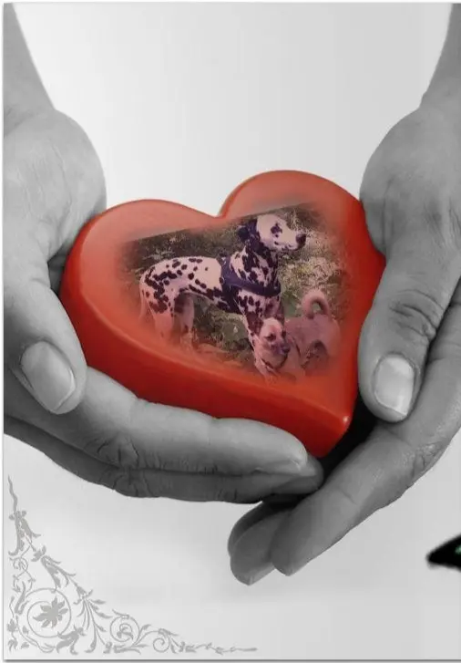 Andachtsbild von Michaela mit Nicko und Ariane ganz tief im Herzen