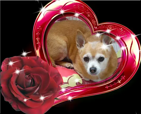 Andachtsbild von ❤️❤️❤️