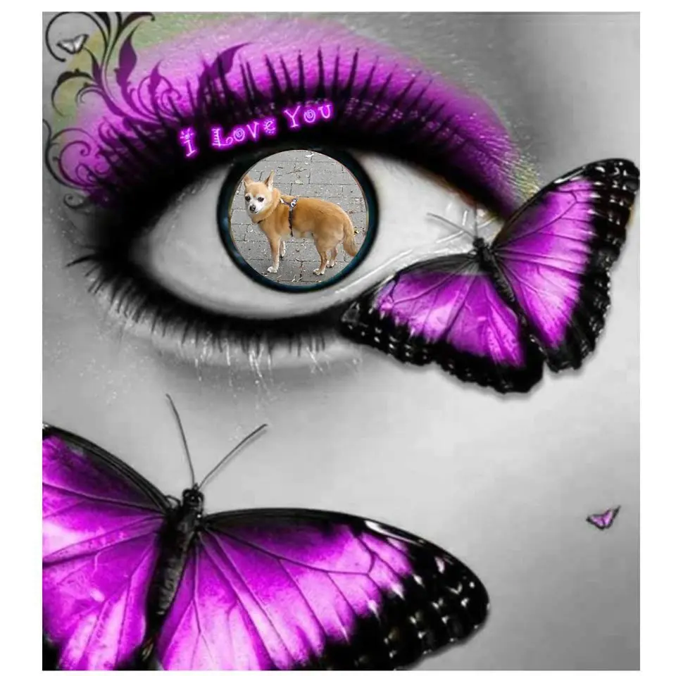 Andachtsbild von ❤️❤️❤️