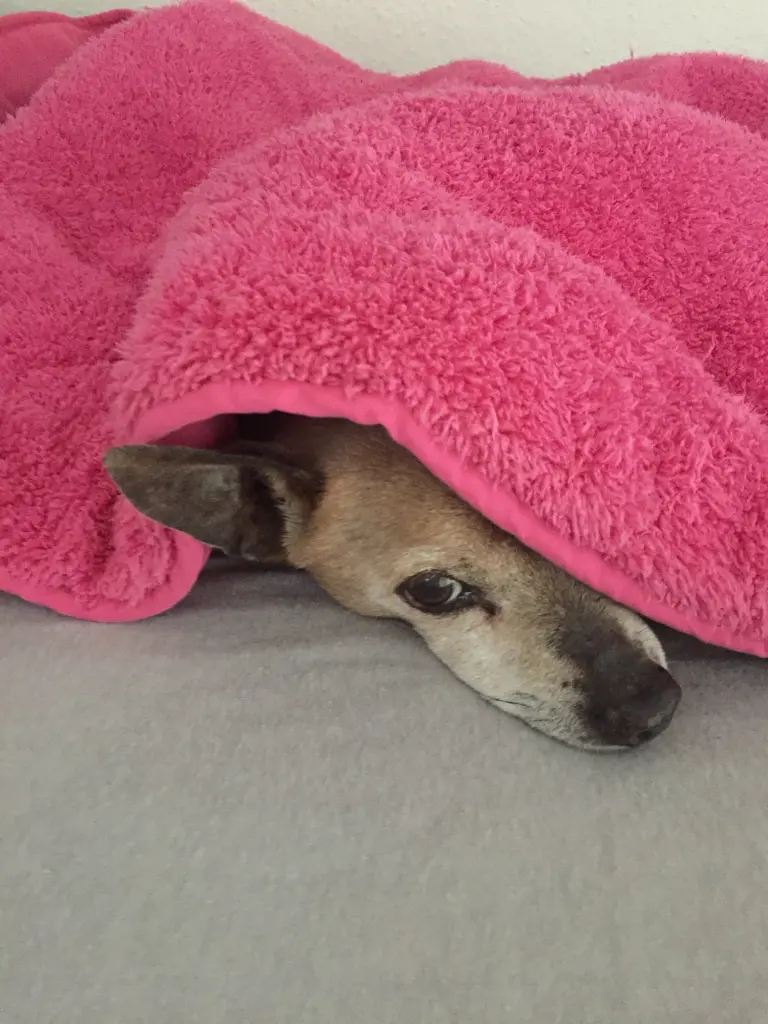 Andachtsbild von Heike mit Bommel 