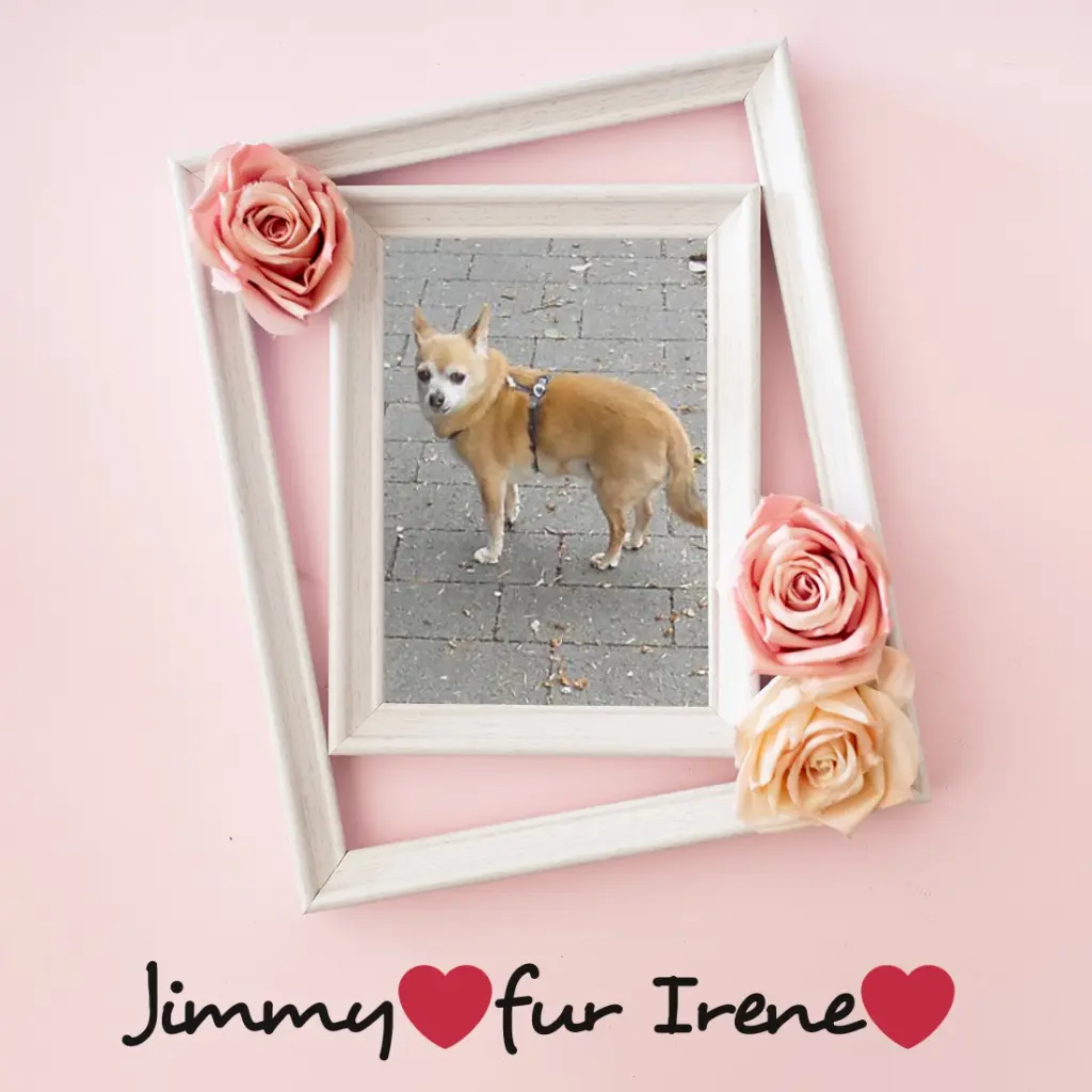 Andachtsbild von ❤️❤️❤️