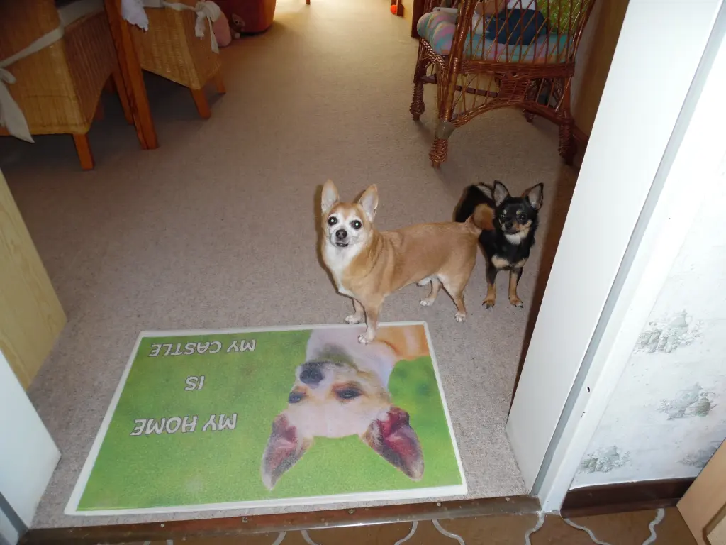 Andachtsbild von 49 Wochen ohne dich mein Herz-König !