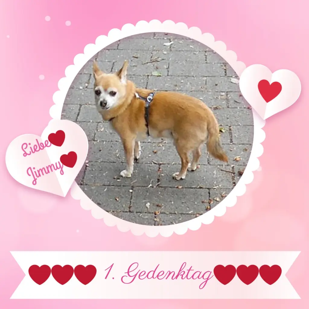 Andachtsbild von ❤️❤️❤️