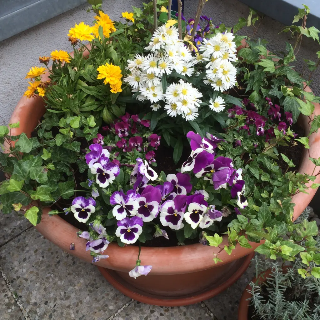 Andachtsbild von Ein Jahr ohne Jimmy 