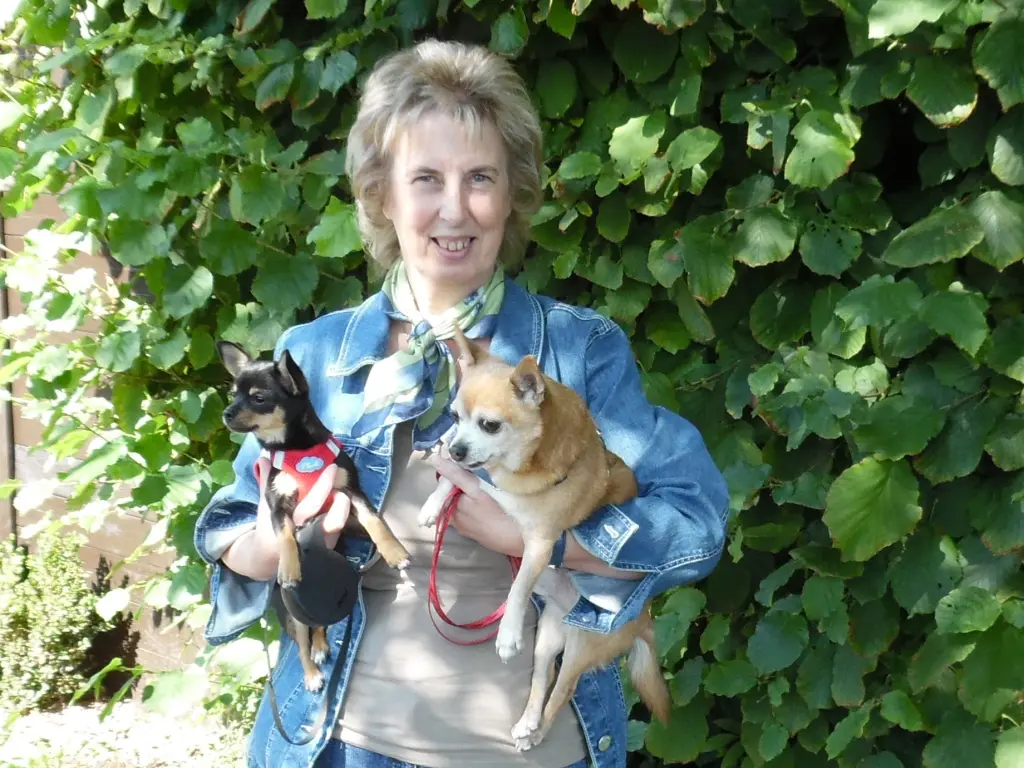 Andachtsbild von Deiner Irene zum 1. Jahresgedenktag !