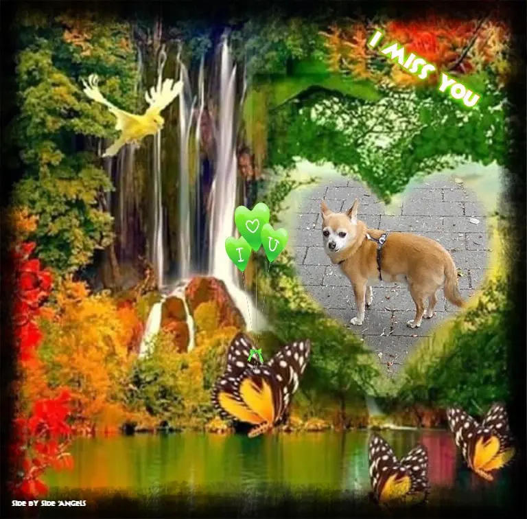 Andachtsbild von ❤️❤️❤️