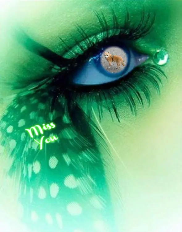 Andachtsbild von ❤️❤️❤️