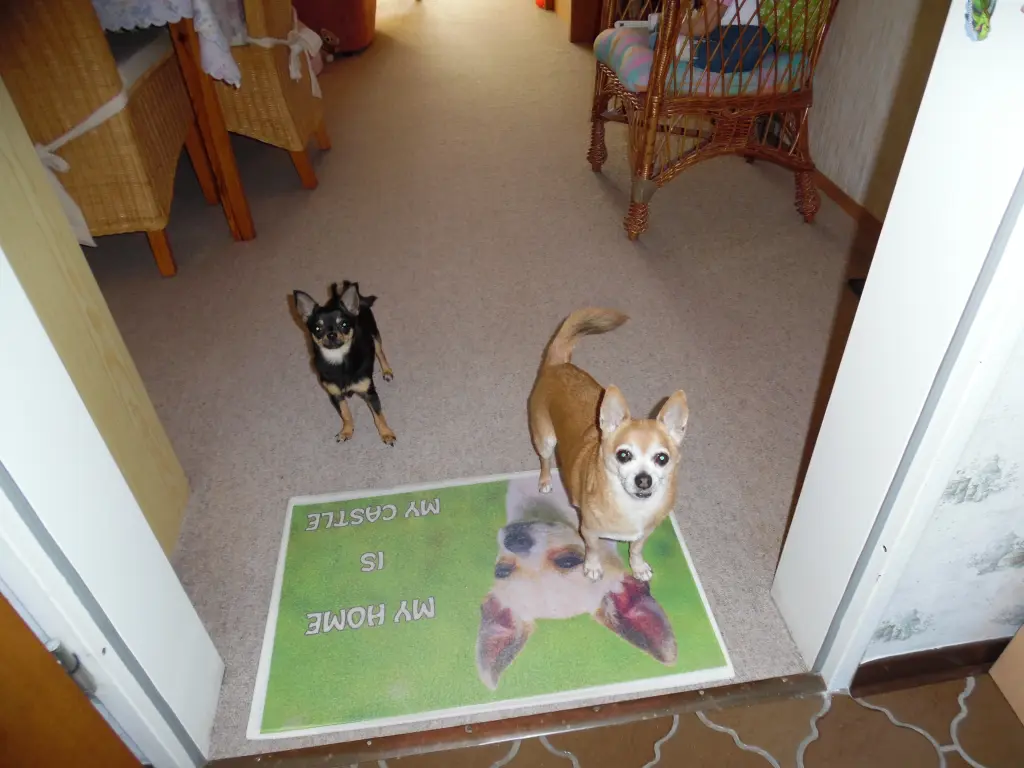 Andachtsbild von 55 Wochen ohne Dich mein *JIMMY*