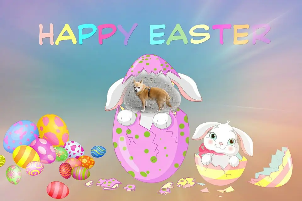 Andachtsbild von ❤️❤️❤️