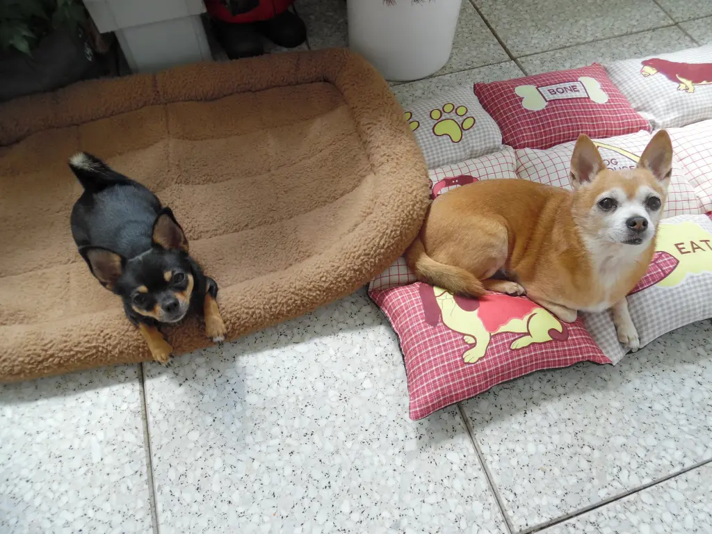 Andachtsbild von Irene und Jule