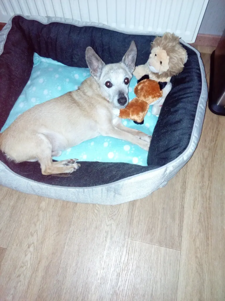 Andachtsbild von Michaela mit Nicko und Ariane ganz tief im ❤