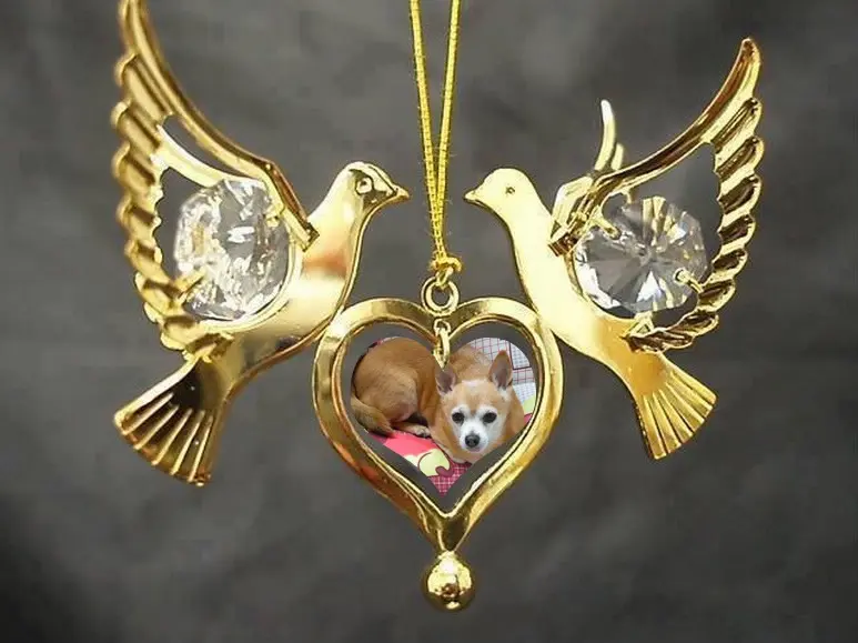 Andachtsbild von ❤️❤️❤️