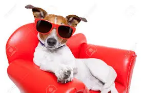 Andachtsbild von Jutta mit Purzel tief im Herzen ✟ 08.05.2016