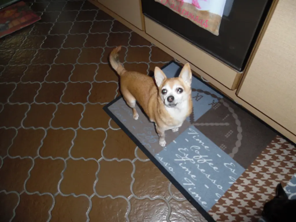 Andachtsbild von IRENE