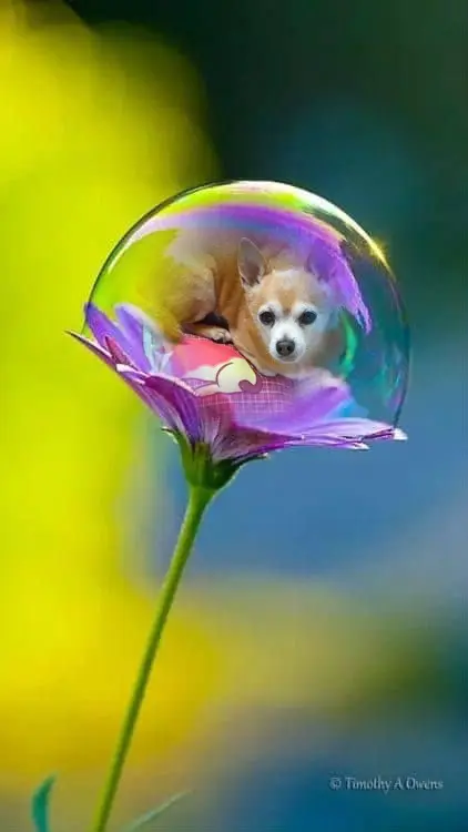 Andachtsbild von ❤️❤️❤️