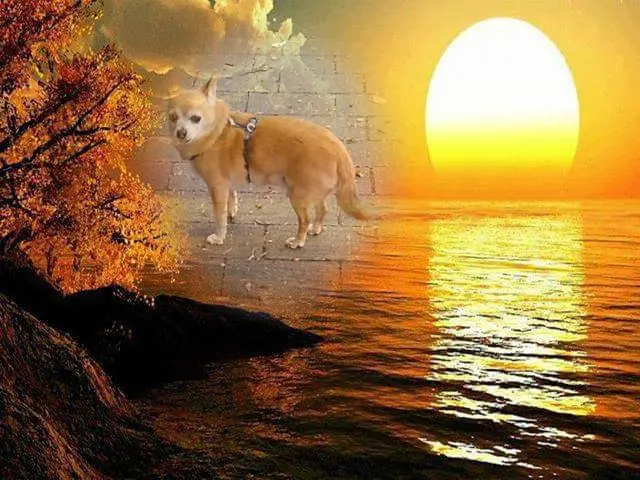 Andachtsbild von ❤️❤️❤️