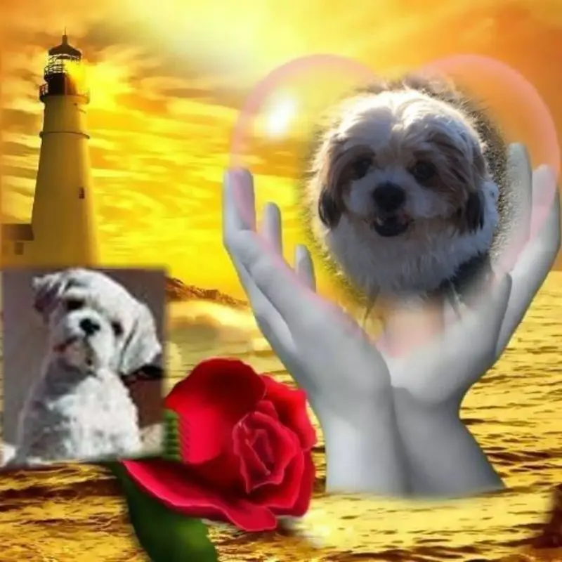 Andachtsbild von Marika mit Balou und Hippo im Herzen