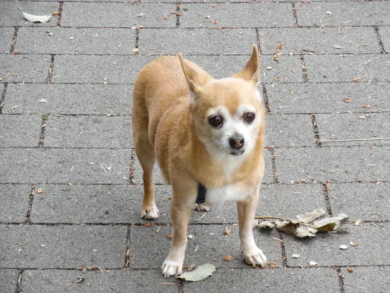 Andachtsbild von von Irene zur Erinnerung an den 2.8.2017