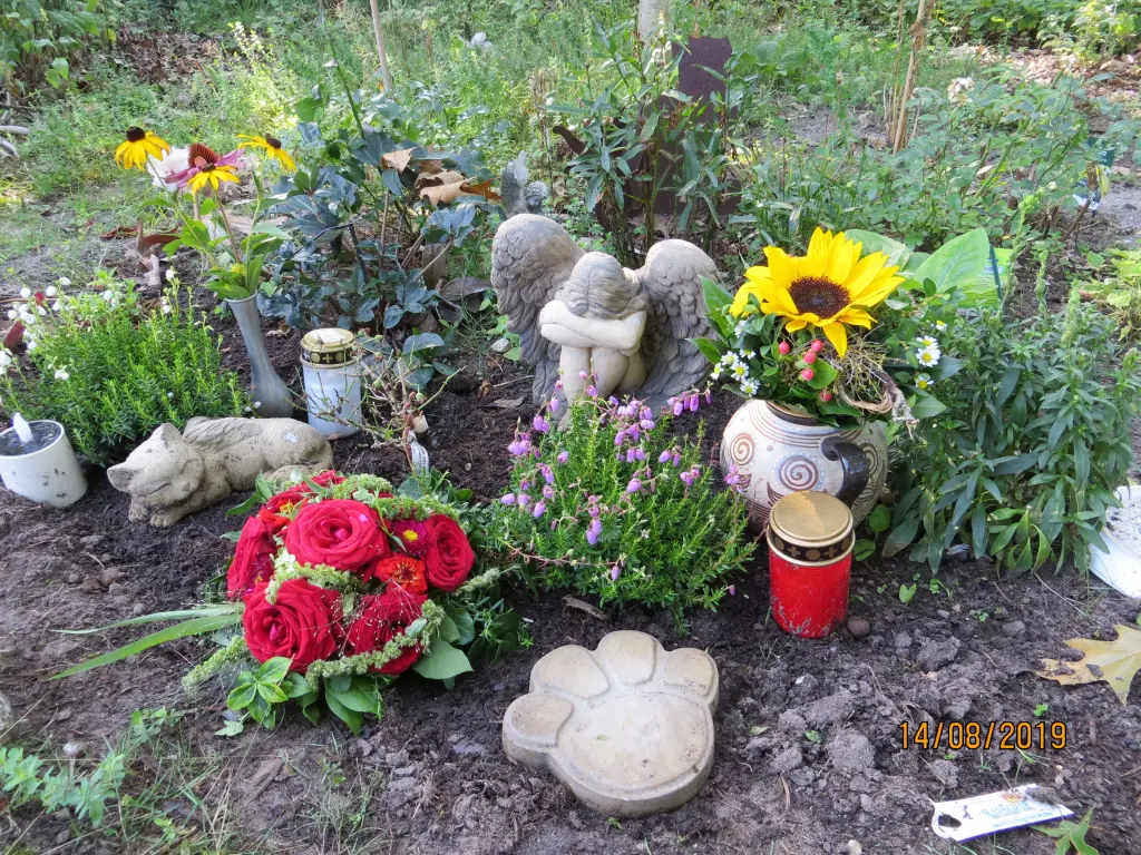 Andachtsbild von Uschi mit Seelenfreunden Shiva, Jojo und Merlin