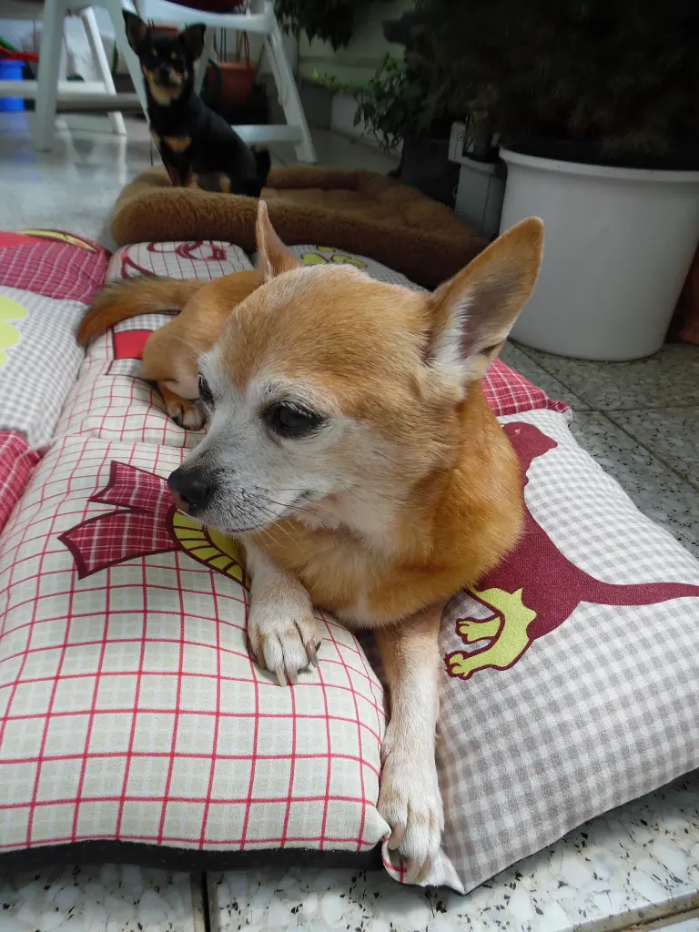 Andachtsbild von Irene und Jule