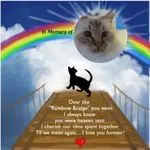 Andachtsbild von Uschi mit Seelenfreunden Shiva, Jojo und Merlin