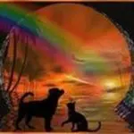 Andachtsbild von Uschi mit Seelenfreunden Shiva, Jojo und Merlin