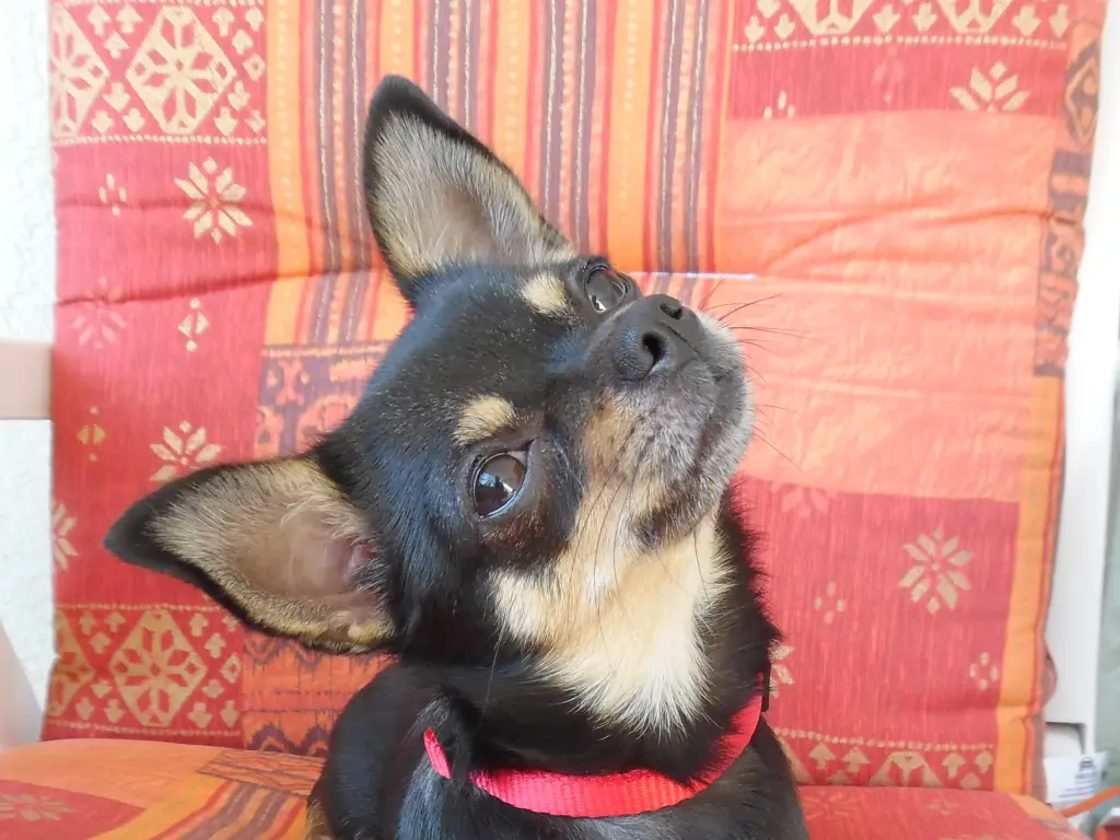 Andachtsbild von Jule