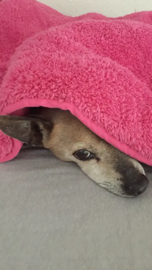 Andachtsbild von Heike mit Bommel im ❤️