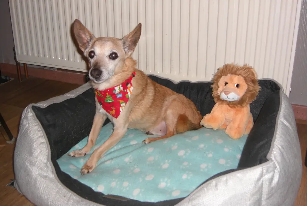 Andachtsbild von Ein kleiner Gruß ❤