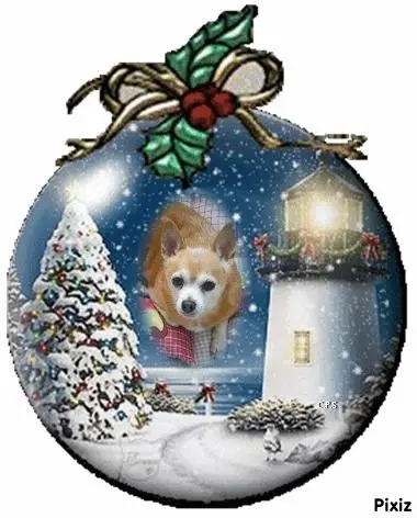 Andachtsbild von Jutta und Axel mit Purzel tief im Herzen ✟ 08.05.2016