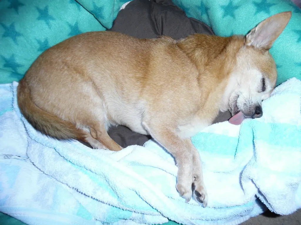 Andachtsbild von 666 Tage ohne Dich mein geliebter Herz-König *JIMMY*