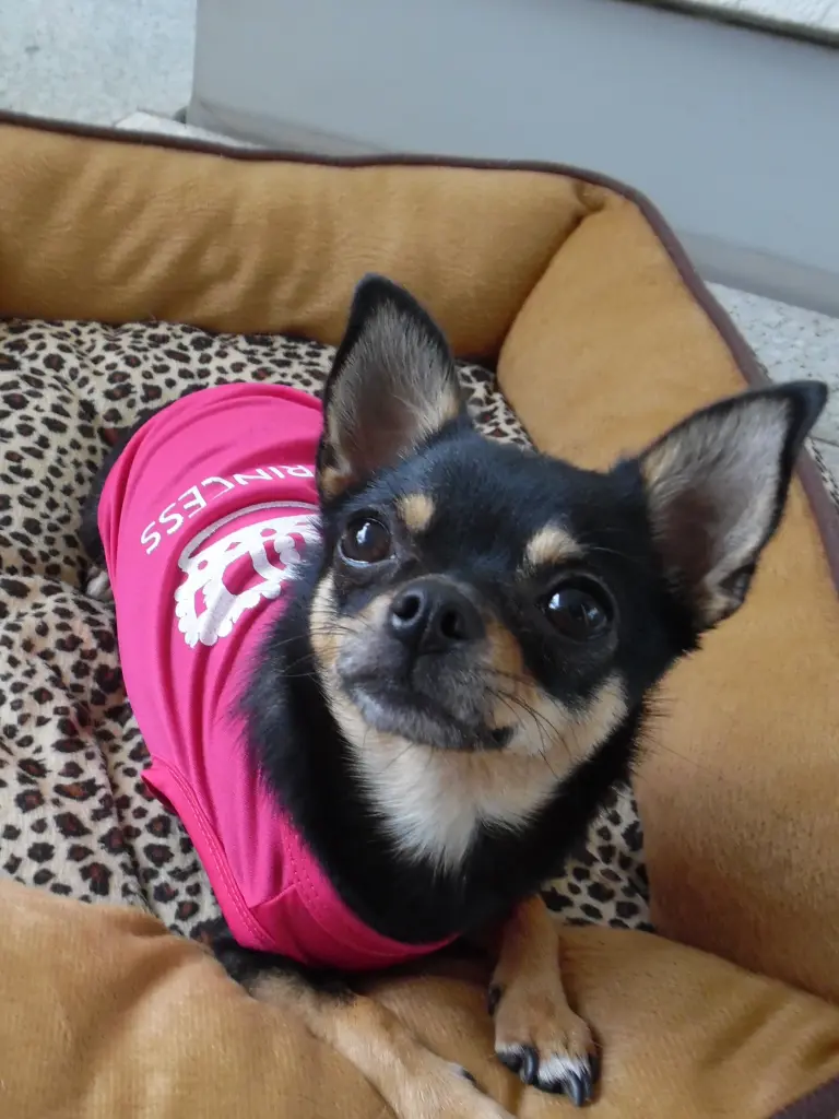 Andachtsbild von Jule für dich lieber *JIMMY*